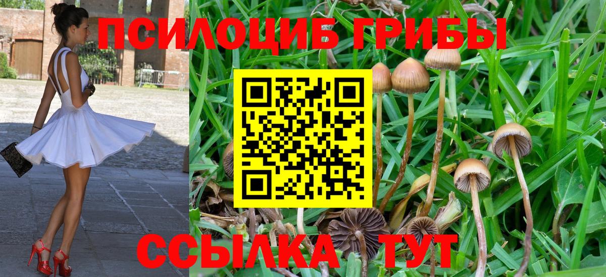 Галлюциногенные грибы ЛСД Дагестанские Огни