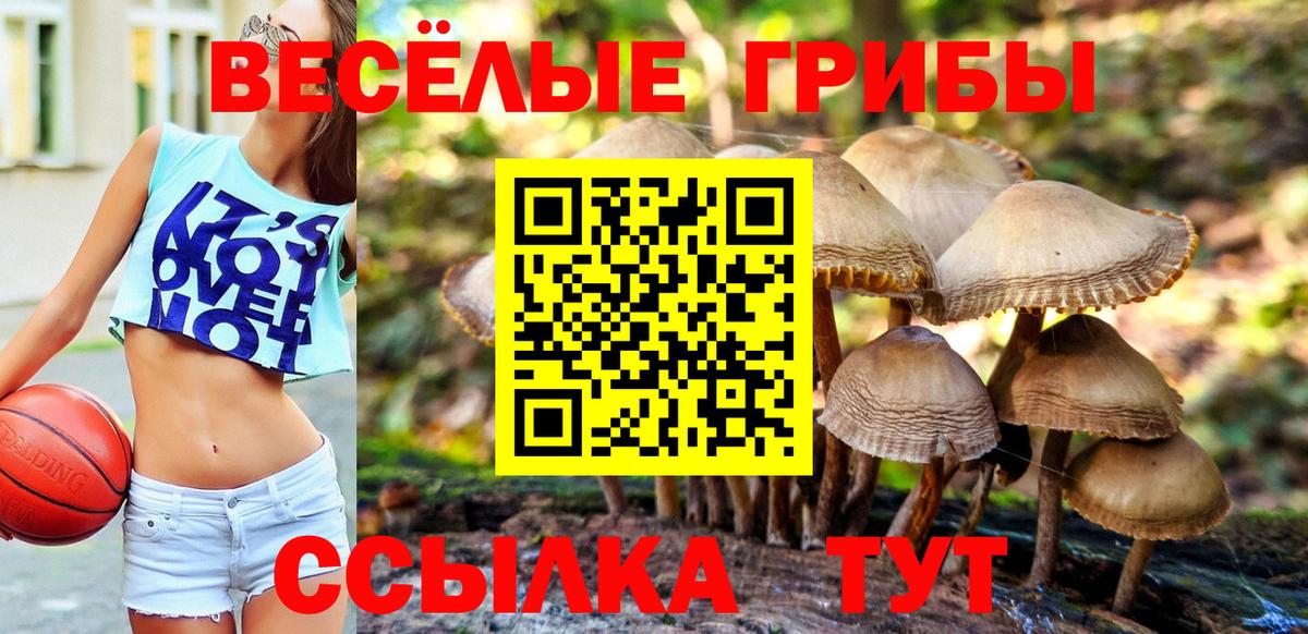 Дагестанские Огни  Галлюциногенные грибы мухоморы  Галлюциногенные грибы Psilocybe  Вход с VPN 