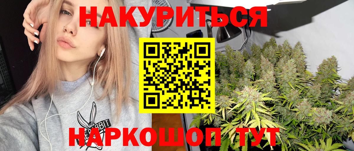 Конопля план Дагестанские Огни